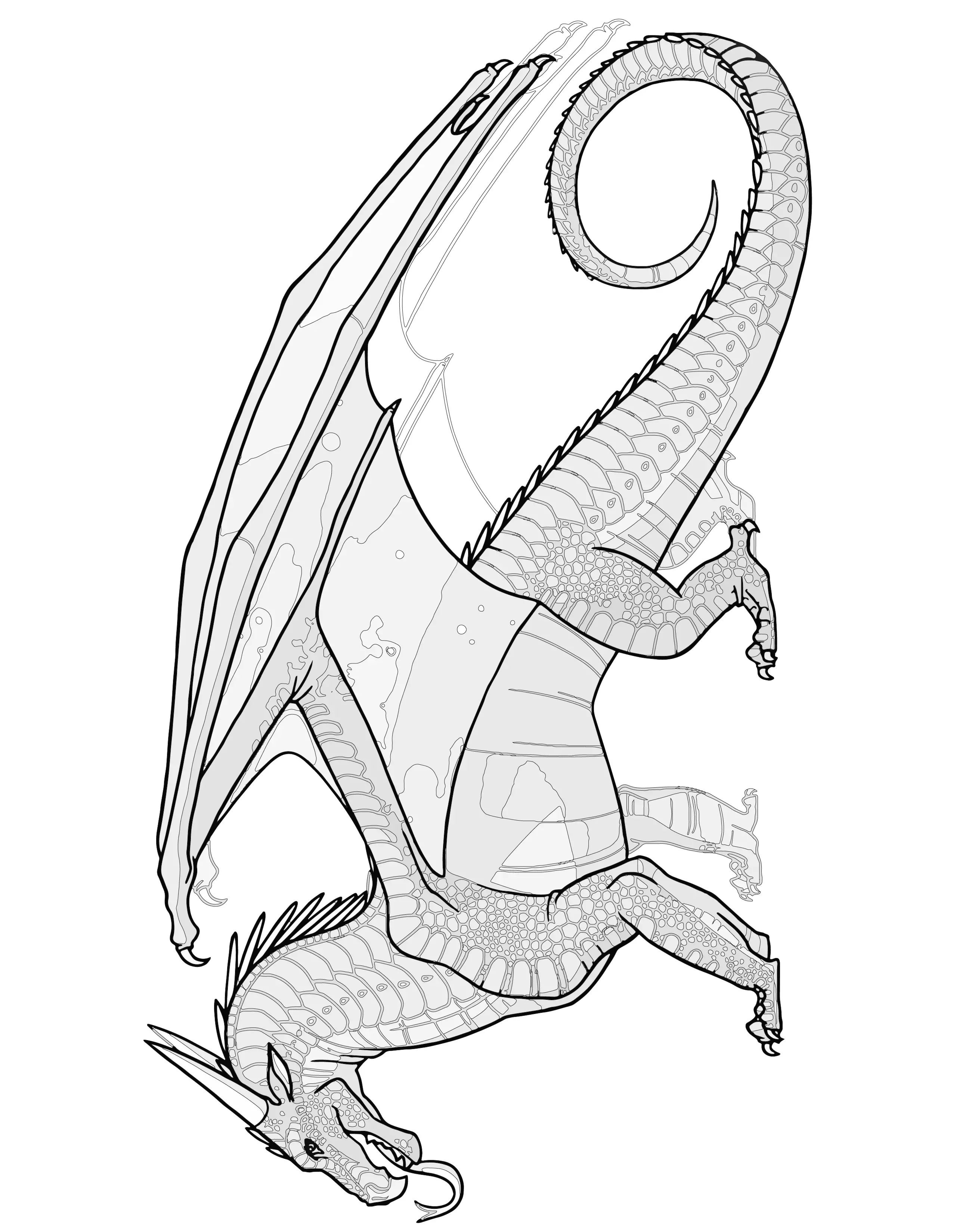 75 Wings Of Fire Coloring Book 12