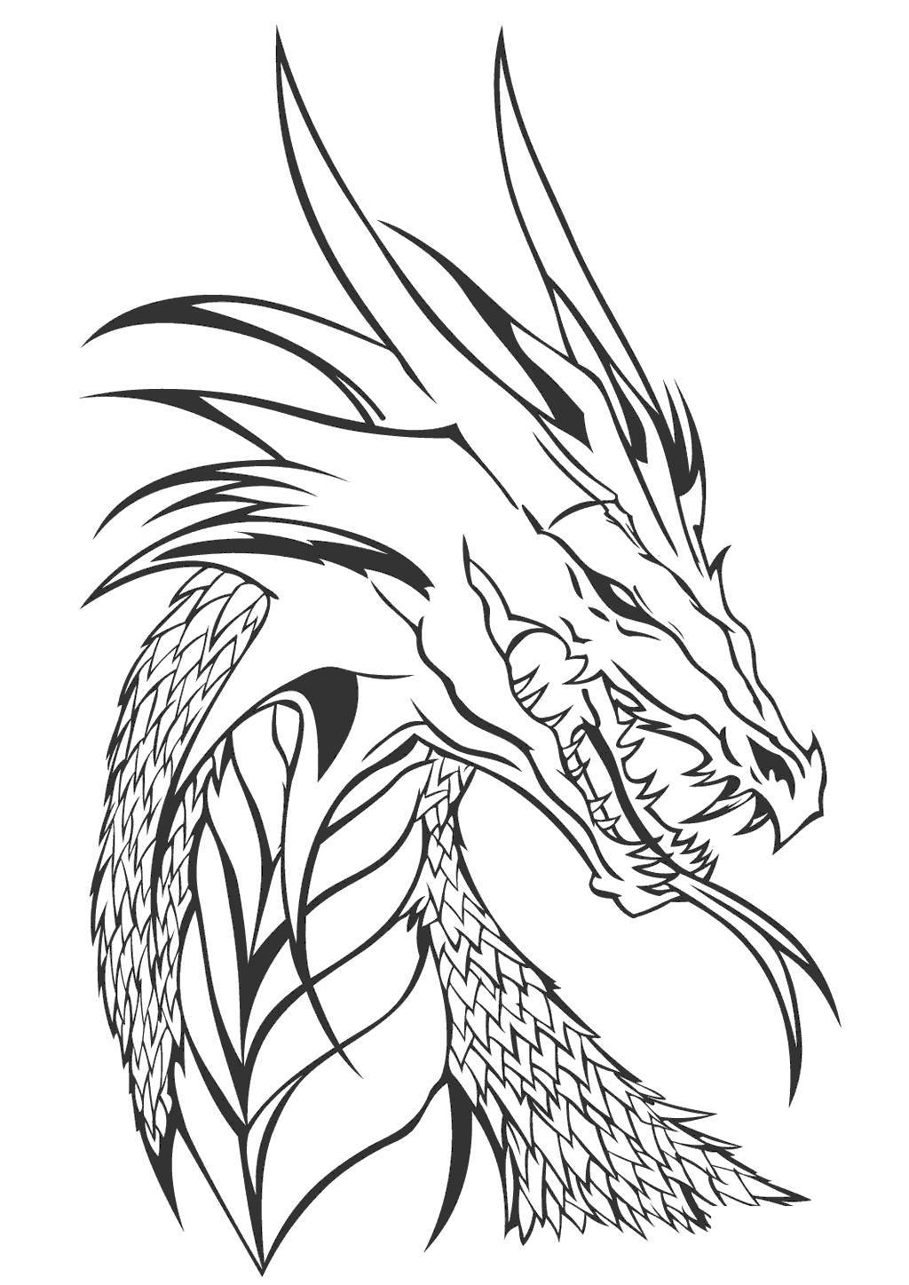 75 Wings Of Fire Coloring Book 6