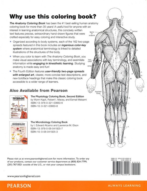 The Anatomy Coloring Book 11