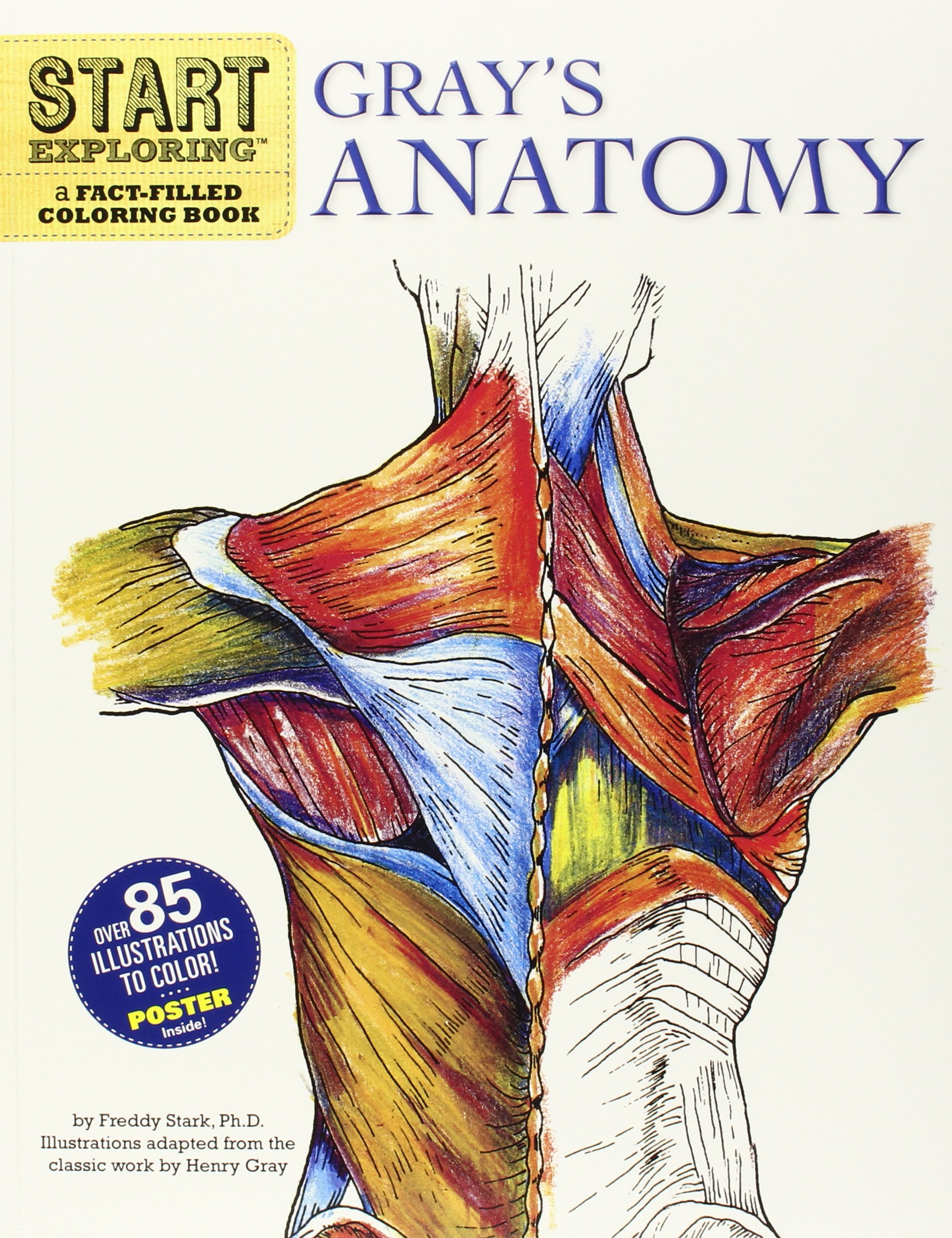 The Anatomy Coloring Book 12