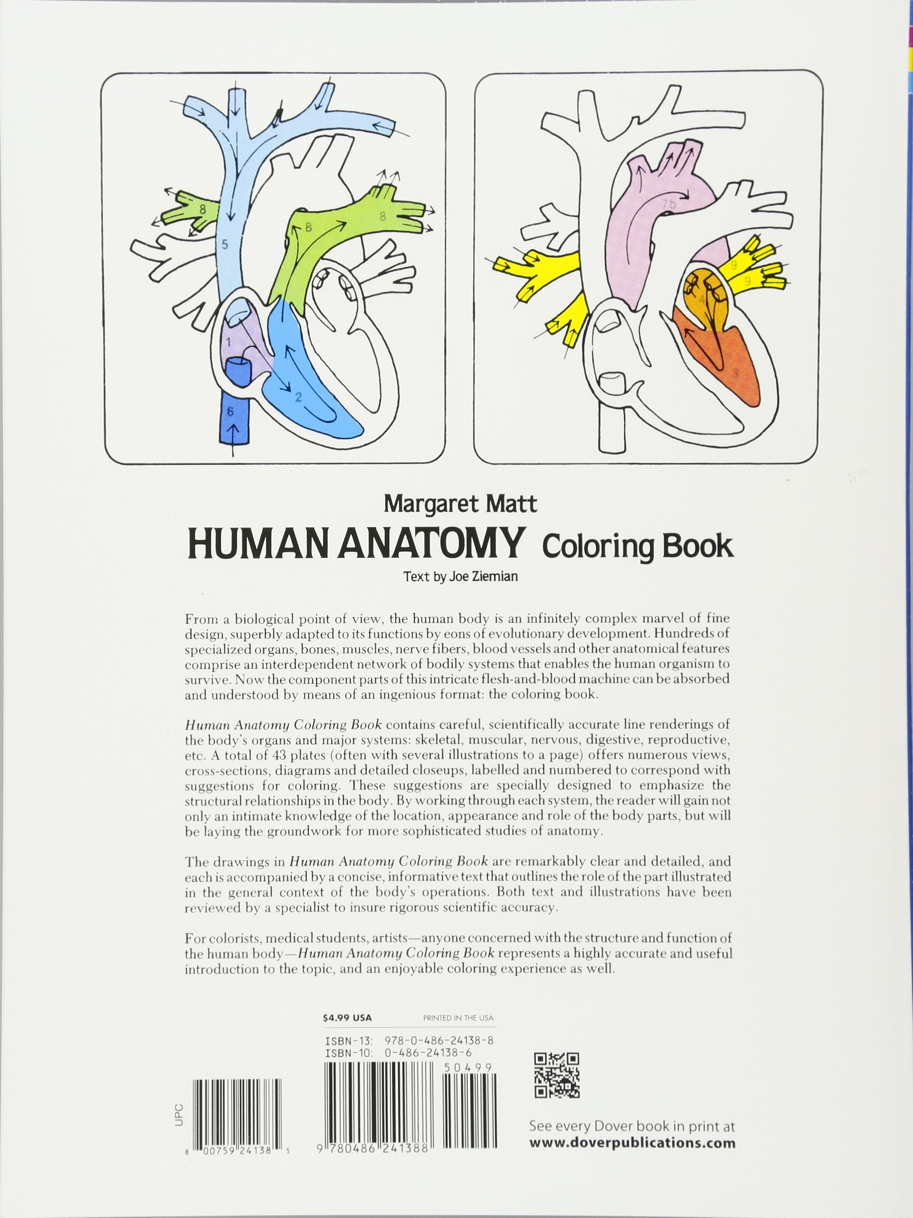 The Anatomy Coloring Book 20