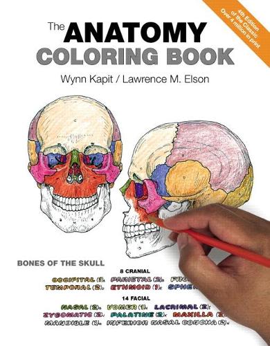 The Anatomy Coloring Book 22