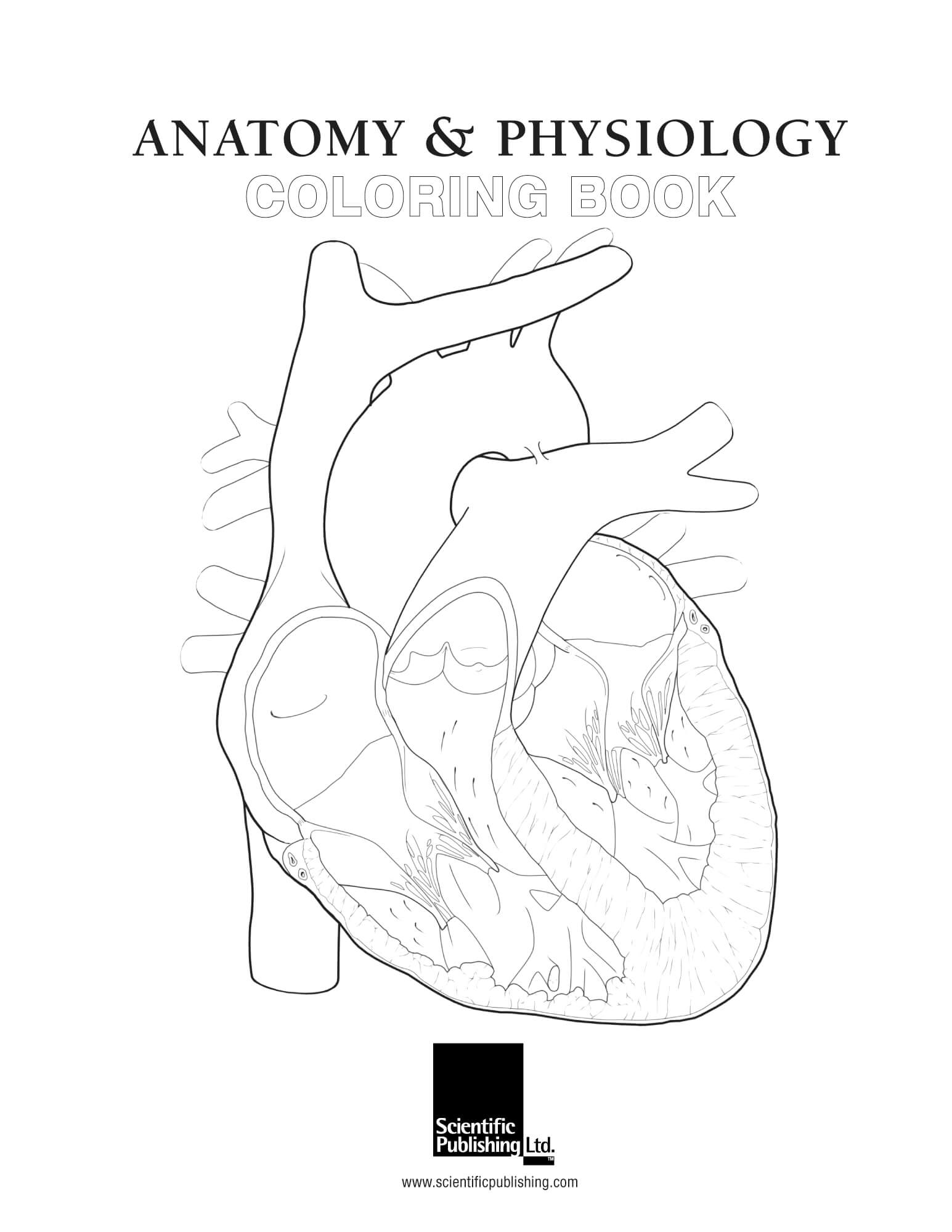 The Anatomy Coloring Book 24