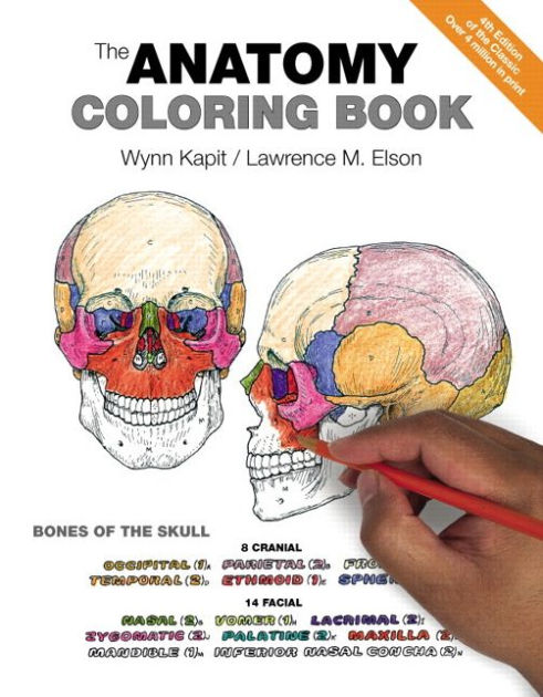 The Anatomy Coloring Book 26