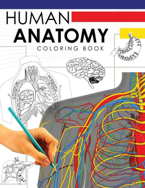 The Anatomy Coloring Book 27