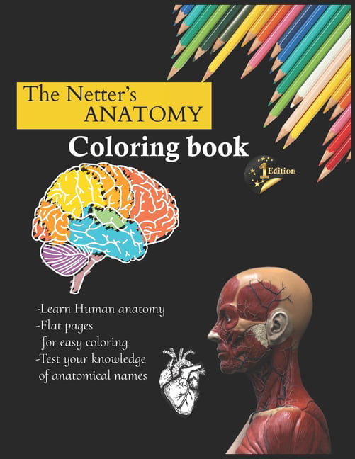 The Anatomy Coloring Book 33