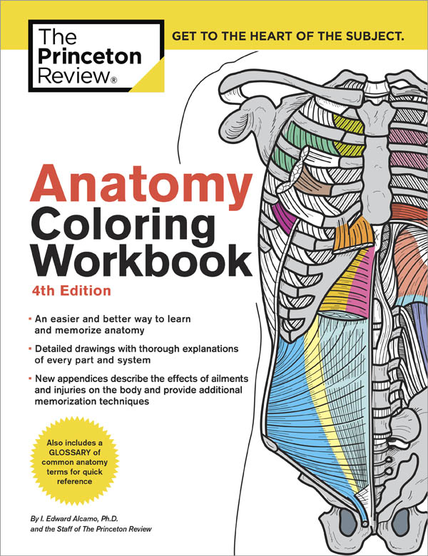 The Anatomy Coloring Book 36