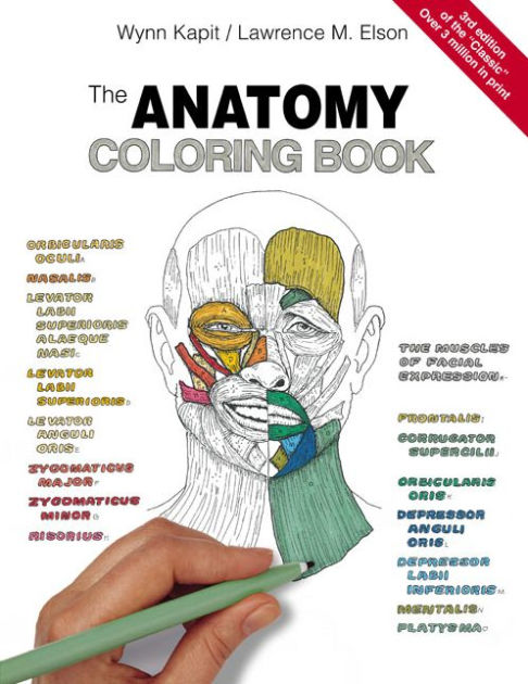 The Anatomy Coloring Book 39