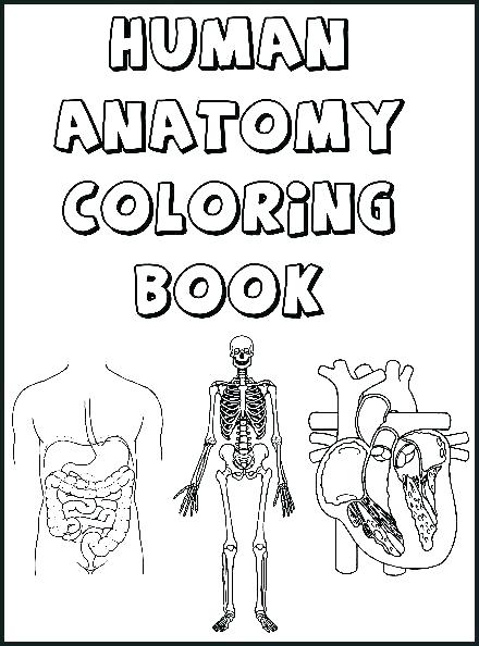 The Anatomy Coloring Book 59