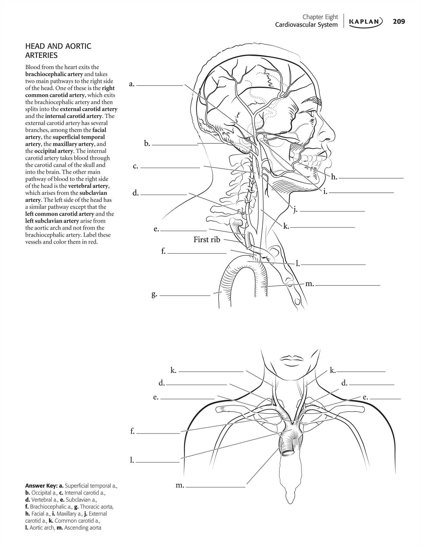 The Anatomy Coloring Book 63