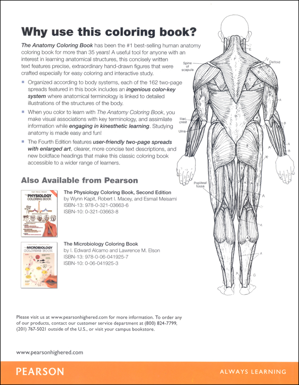 The Anatomy Coloring Book 67