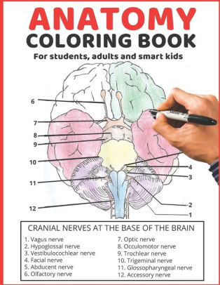 The Anatomy Coloring Book 69