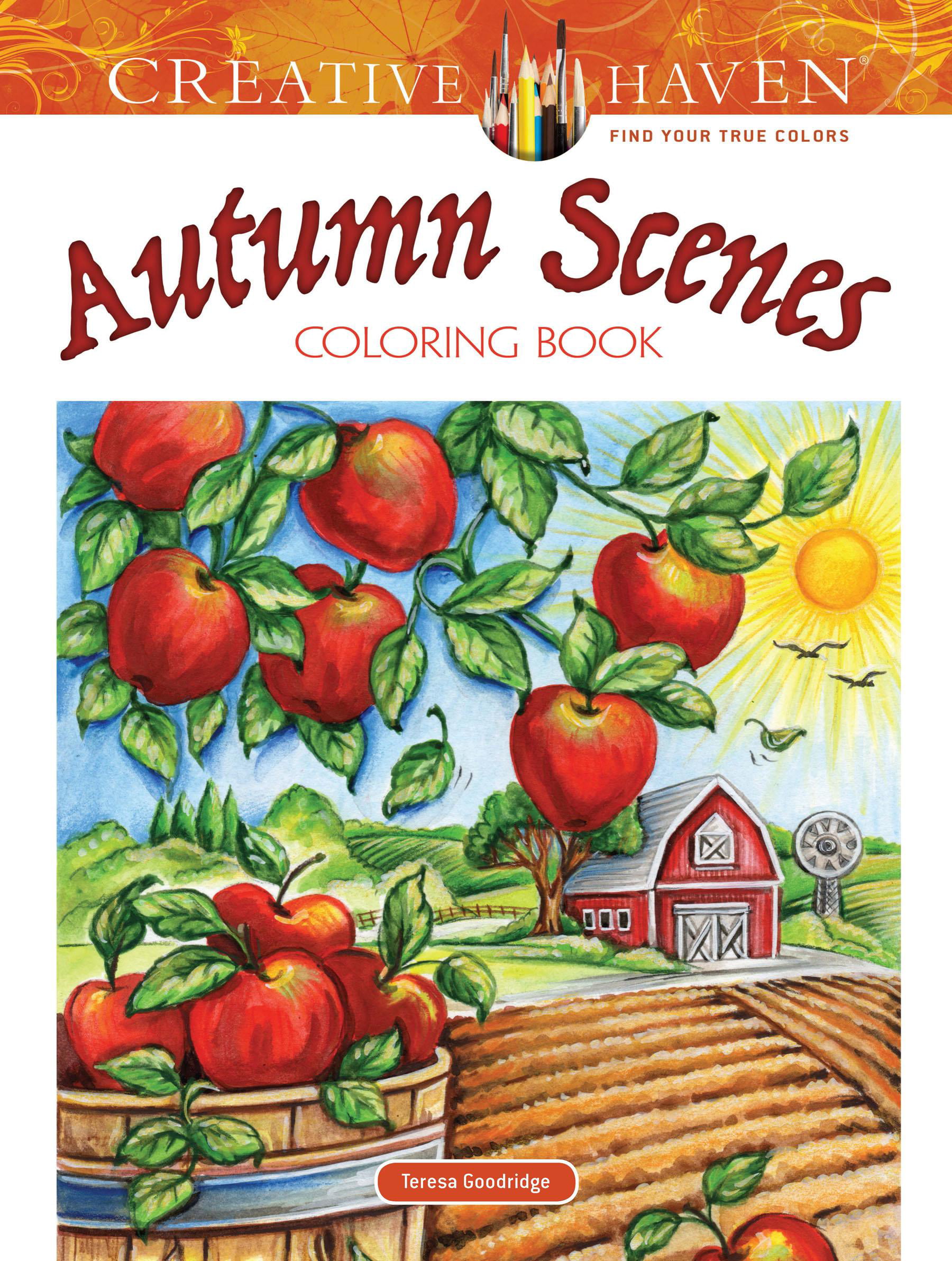 Walmart Adult Coloring Books 29