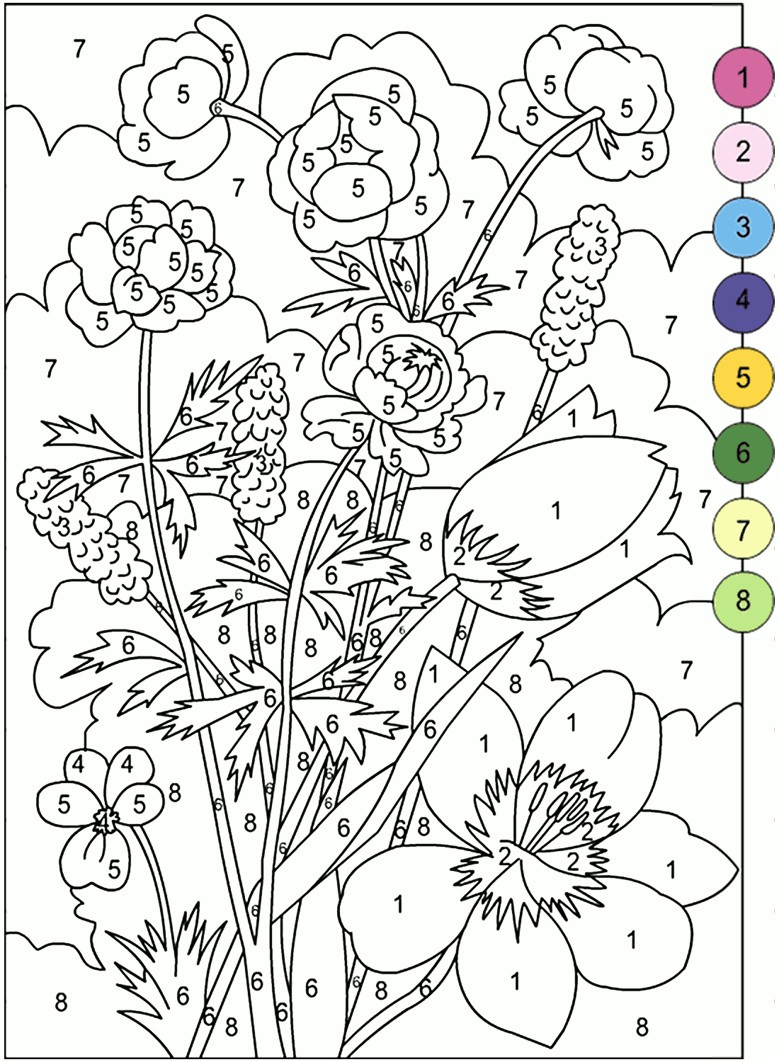 30 Adult Color By Number Books 1