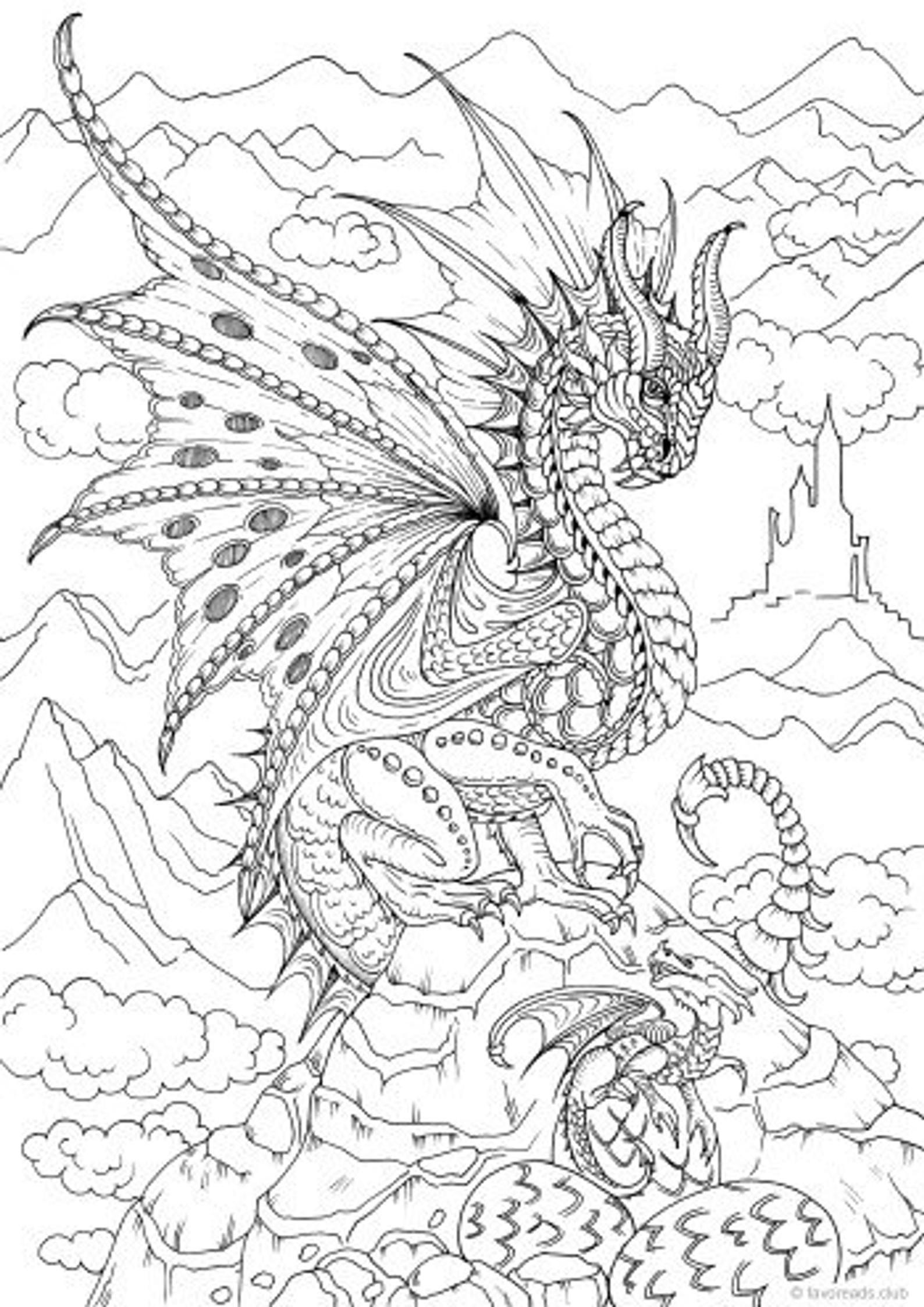 45 Bad Dragon Coloring Book 18