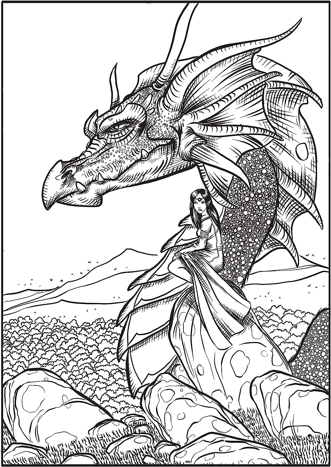 45 Bad Dragon Coloring Book 5