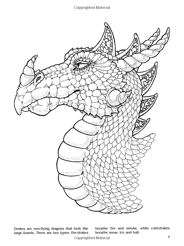 45 Bad Dragon Coloring Book 65