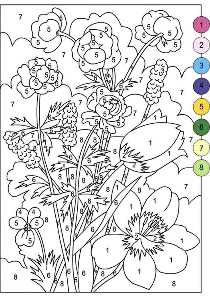 45 Coloring By Numbers Books For Adults 25