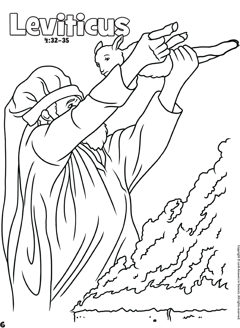 50 Books Of The Bible Coloring Pages 58