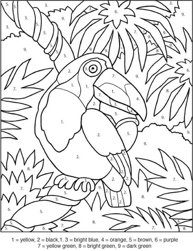 50 Color By Number Coloring Book 42