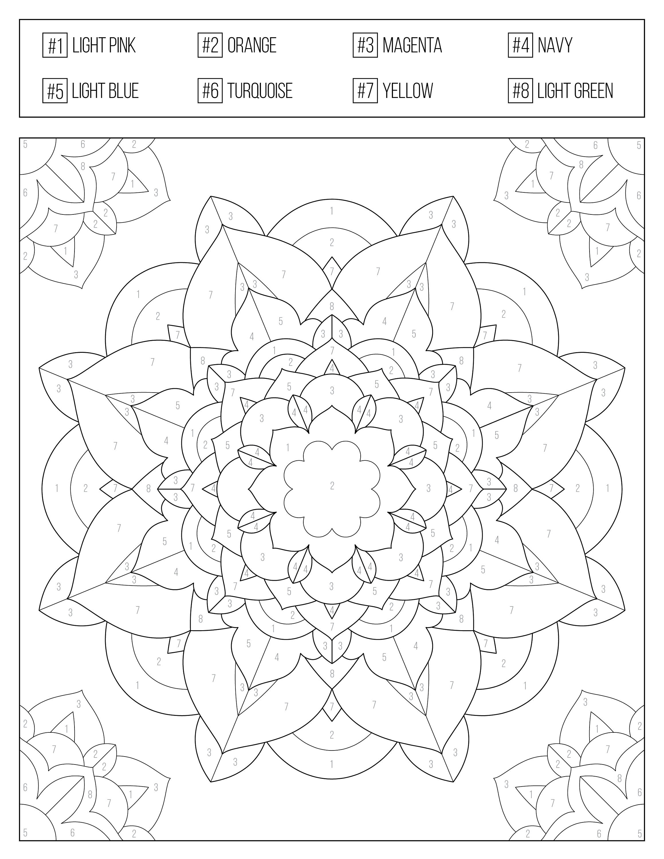 50 Color By Number Coloring Book 6