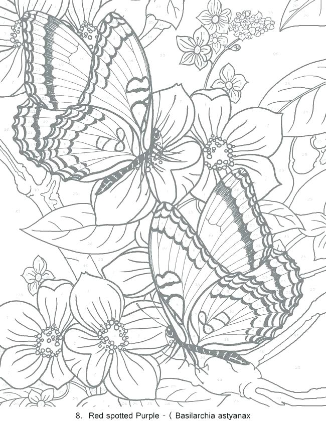 50 Free Printable Coloring Book Pages For Adults 58