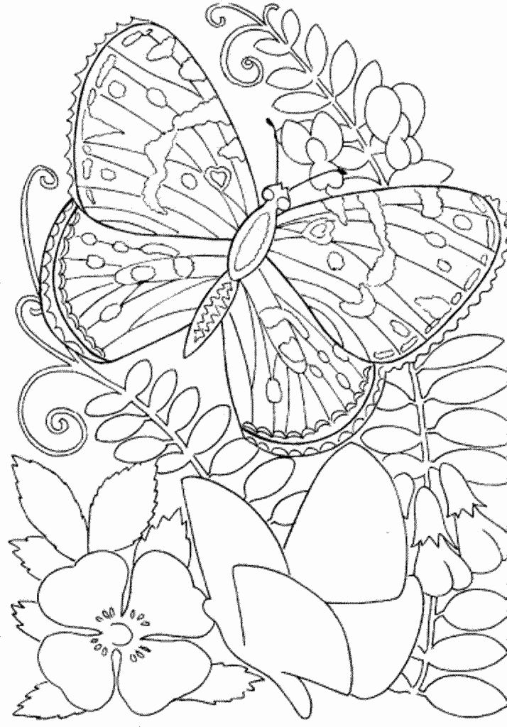 50 Free Printable Coloring Book Pages For Adults 59