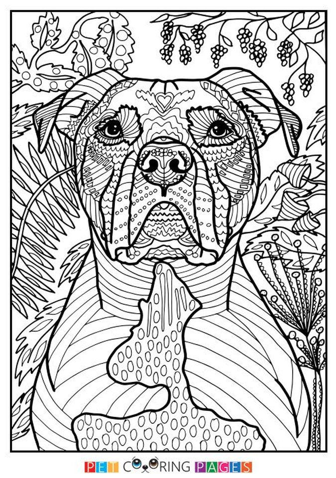 50 Free Printable Coloring Book Pages For Adults 65