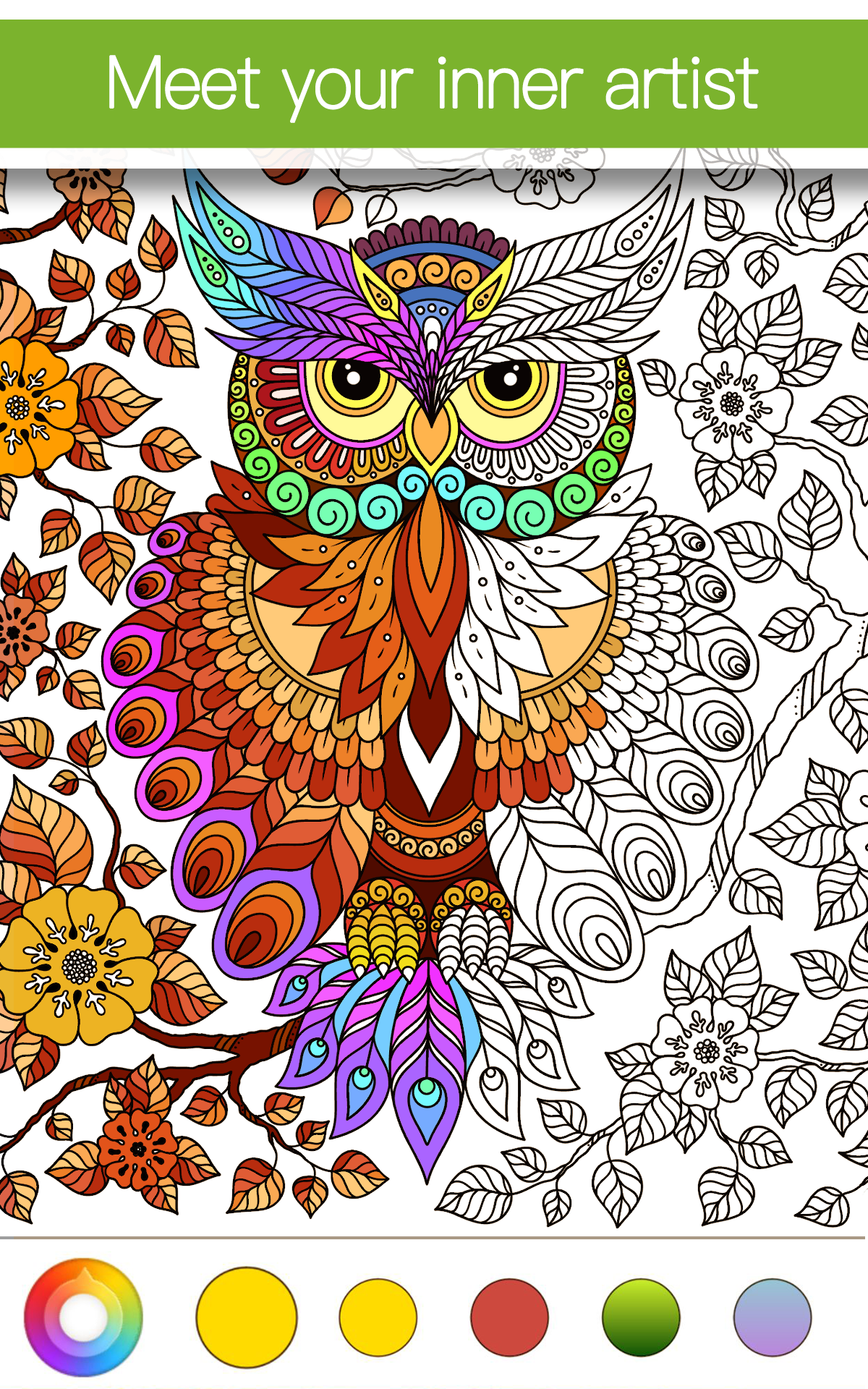 50 Great Adult Coloring Books 52