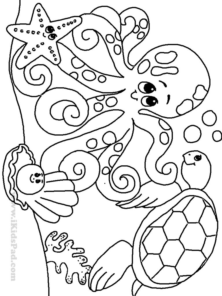 55 Coloring Book Cover 7