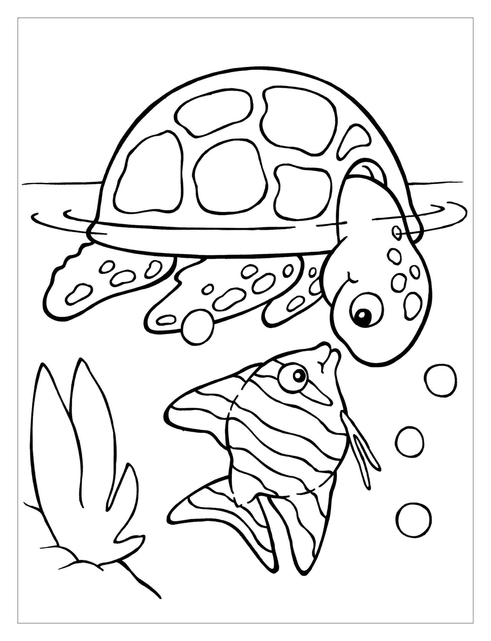 55 Coloring Book For Kids 16