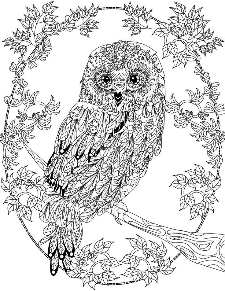 55 Coloring Book Pages For Adults Free 16