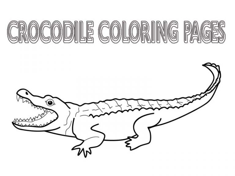 55 Crocodile Coloring Book 14