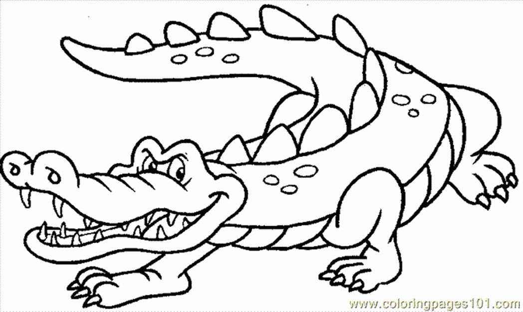 55 Crocodile Coloring Book 15