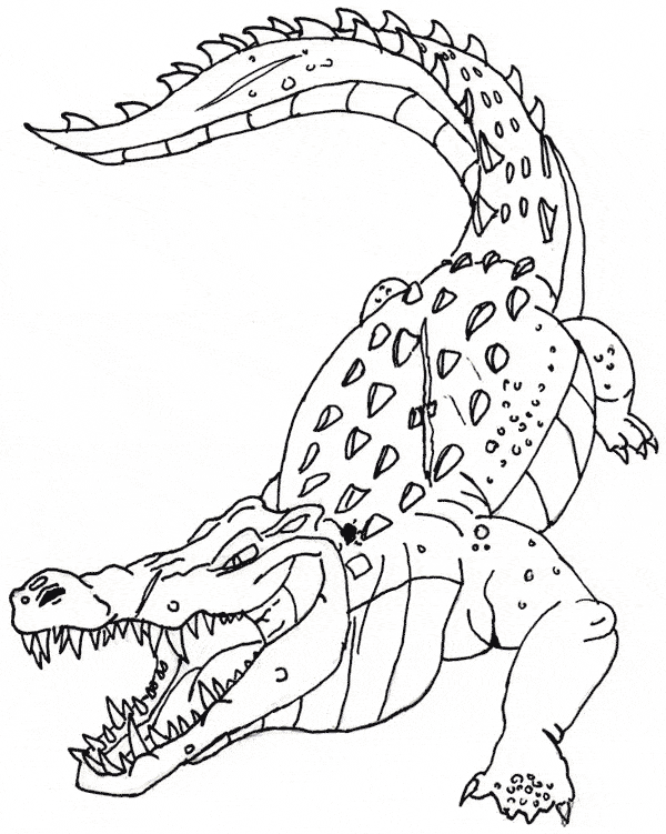 55 Crocodile Coloring Book 17