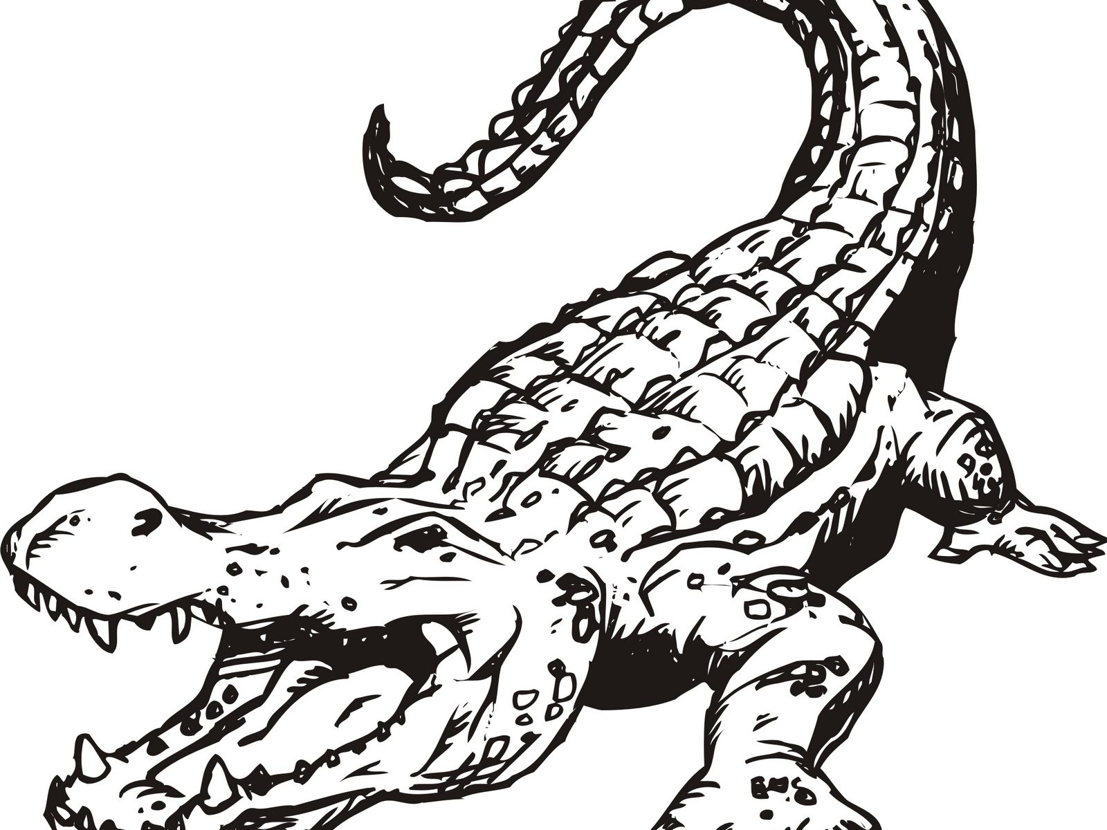 55 Crocodile Coloring Book 24