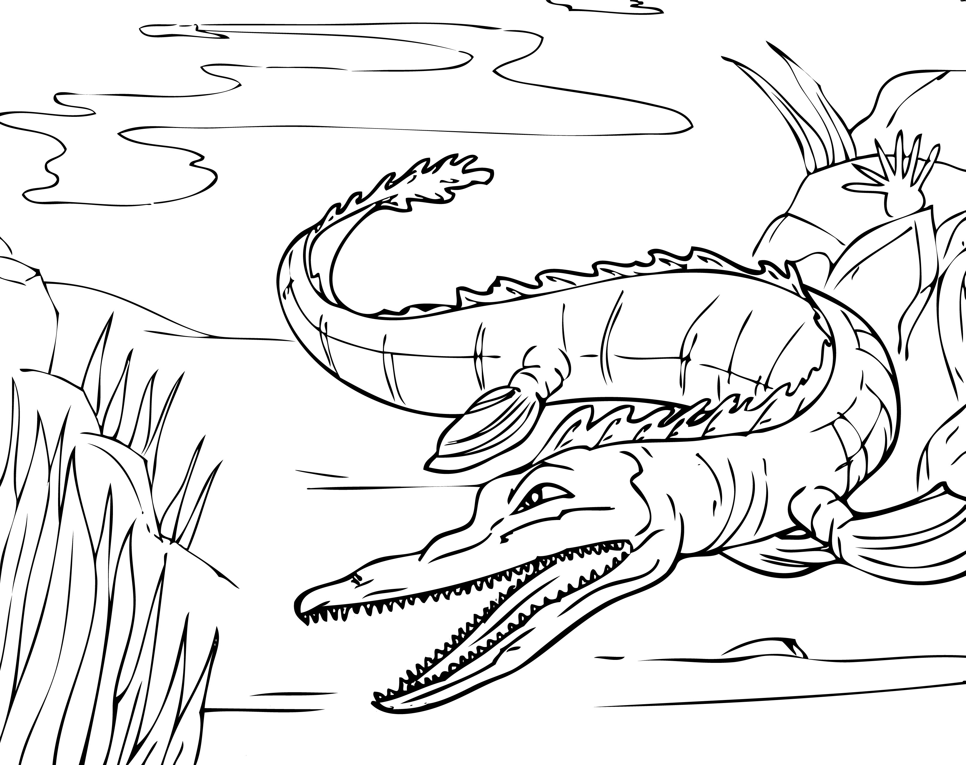 55 Crocodile Coloring Book 26