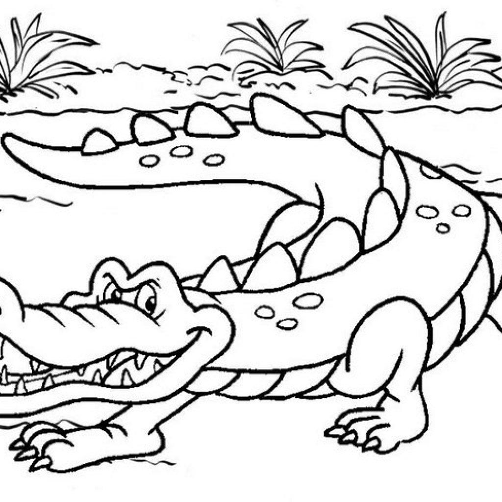 55 Crocodile Coloring Book 27