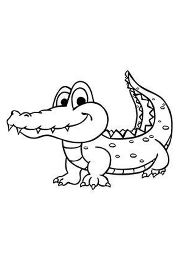 55 Crocodile Coloring Book 32