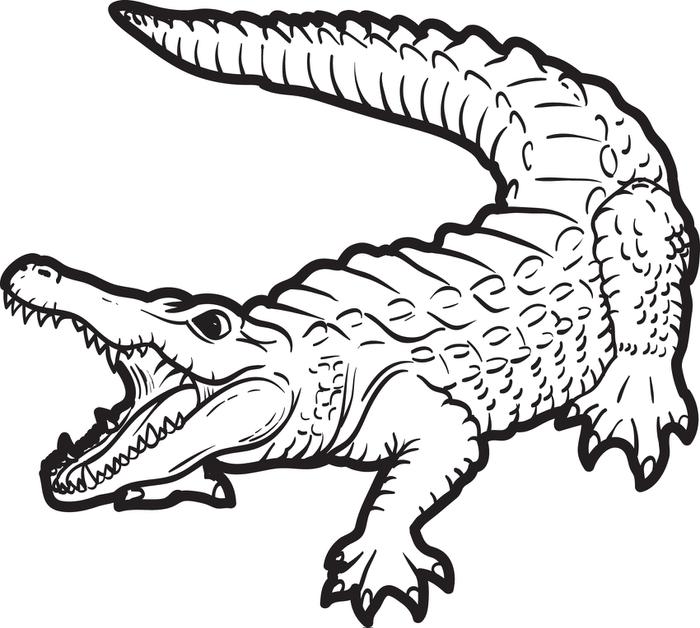 55 Crocodile Coloring Book 34