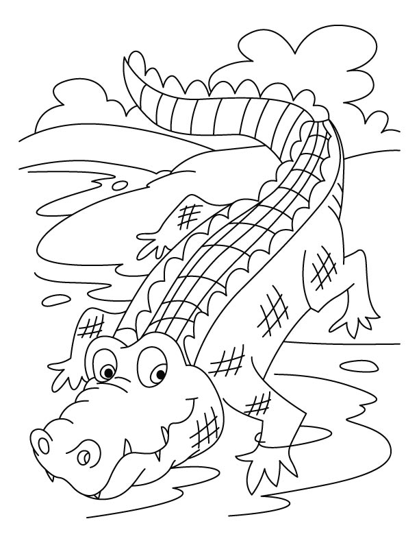 55 Crocodile Coloring Book 36