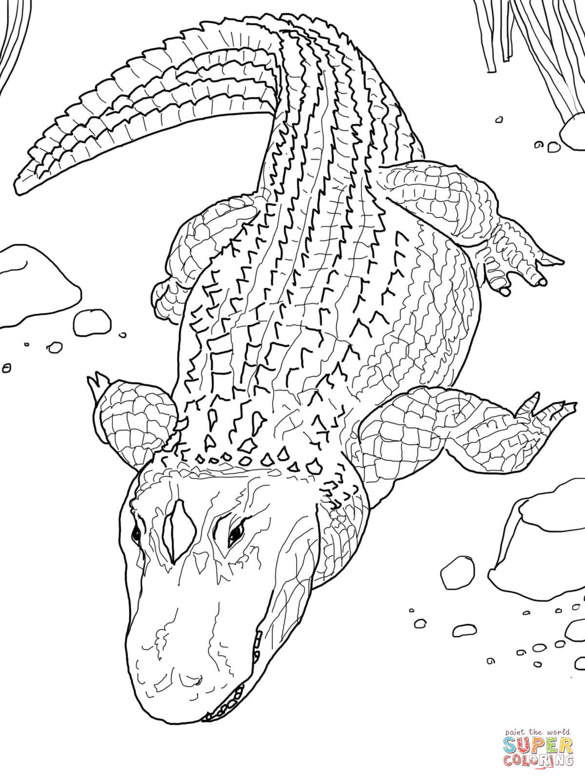 55 Crocodile Coloring Book 40