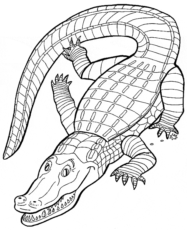 55 Crocodile Coloring Book 47