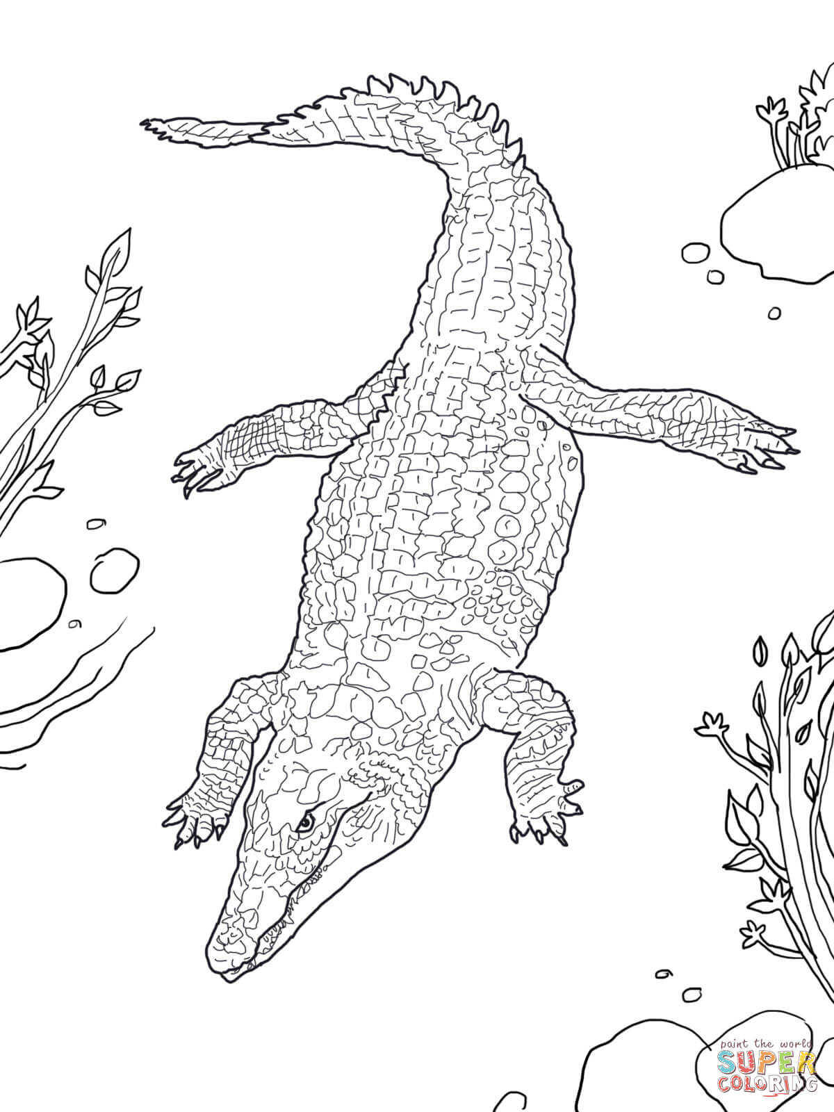 55 Crocodile Coloring Book 52