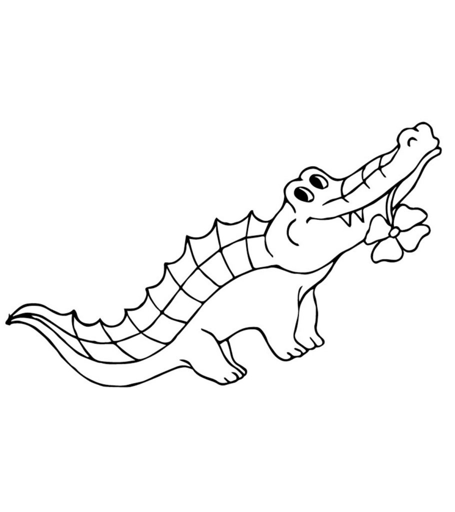 55 Crocodile Coloring Book 6