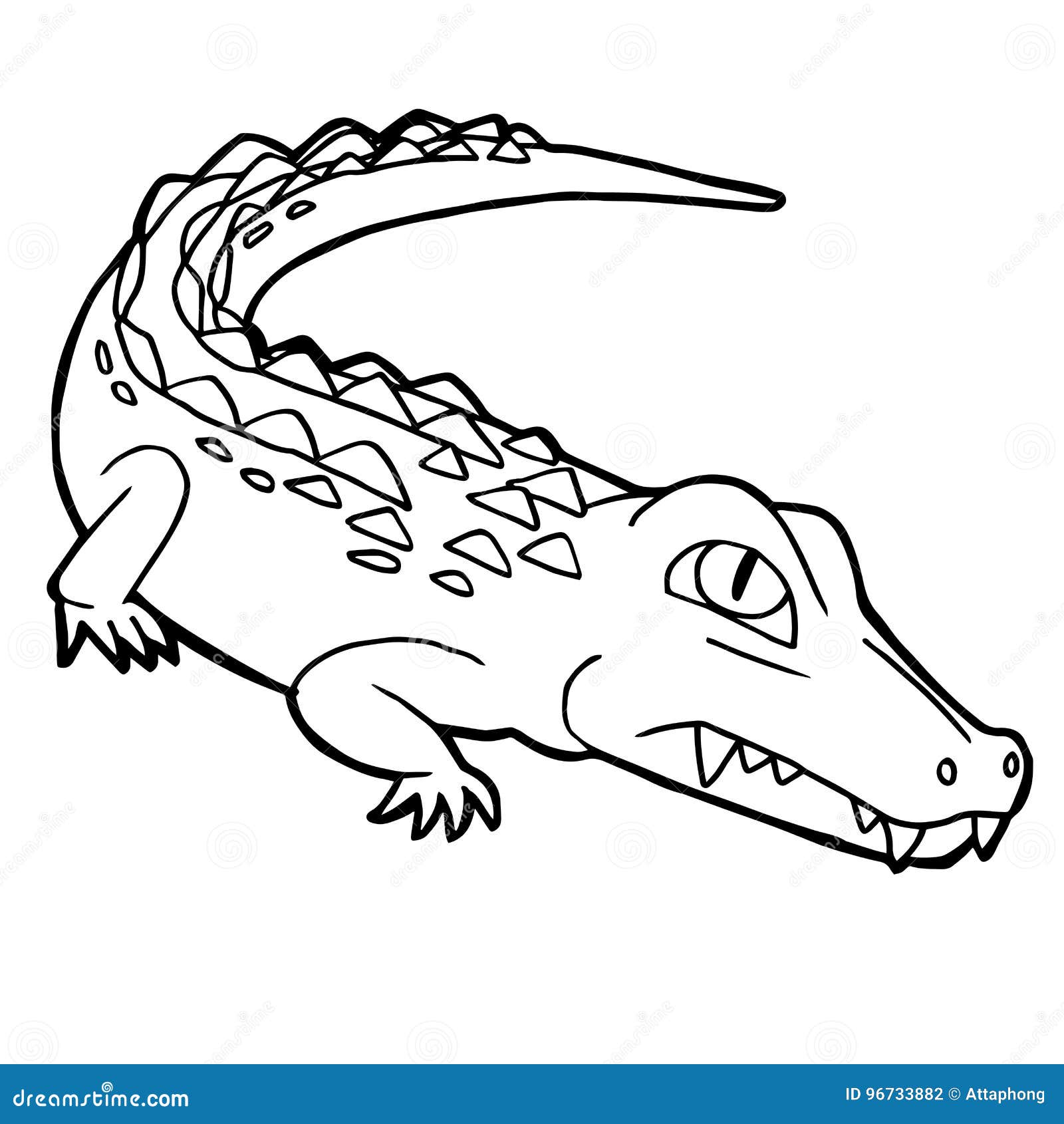 55 Crocodile Coloring Book 60