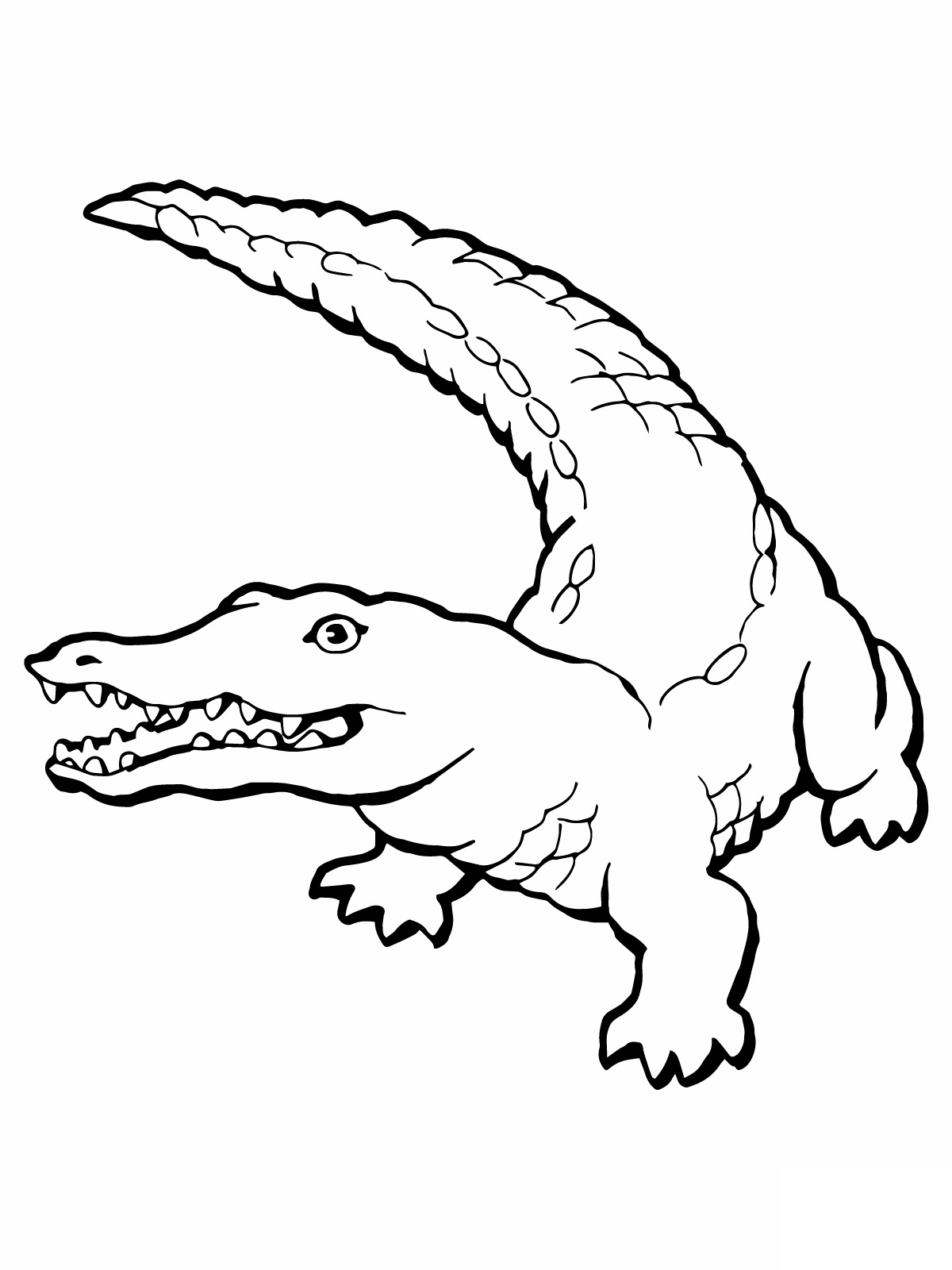 55 Crocodile Coloring Book 63