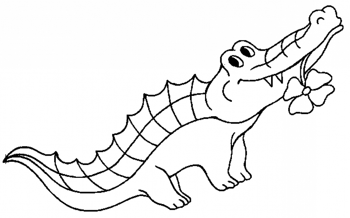 55 Crocodile Coloring Book 65