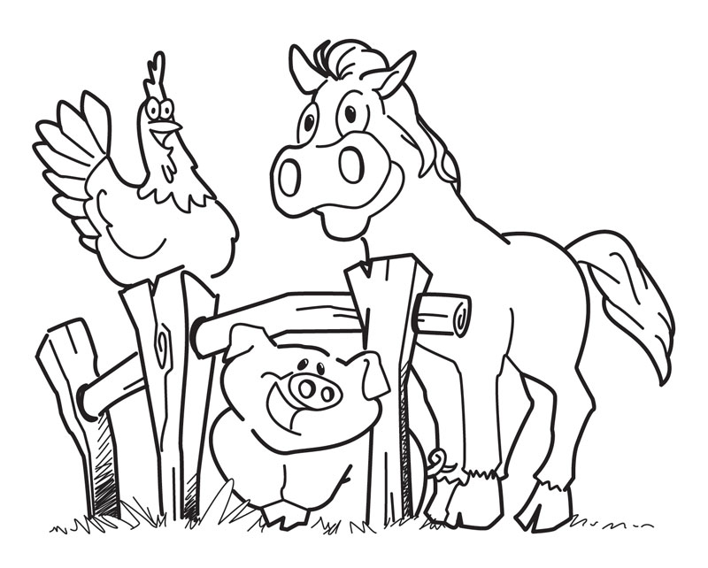 55 Farm Animal Coloring Book Pages 11