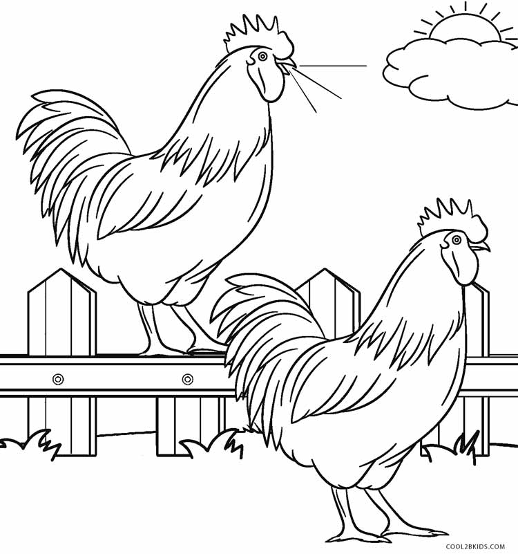 55 Farm Animal Coloring Book Pages 13